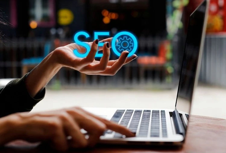 Derecik Web Site Tasarımcı